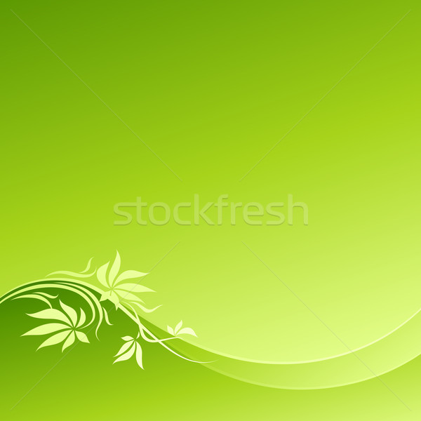 Floral Design Vector Illustration