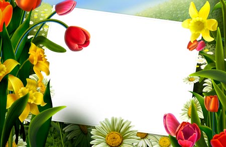 Flower Frames for Photoshop Free Download
