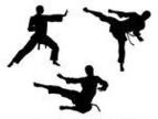 Flying Kick Martial Art Silhouette