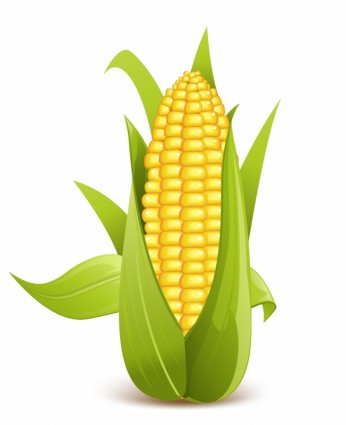 Free Vector Corn Stalk Clip Art