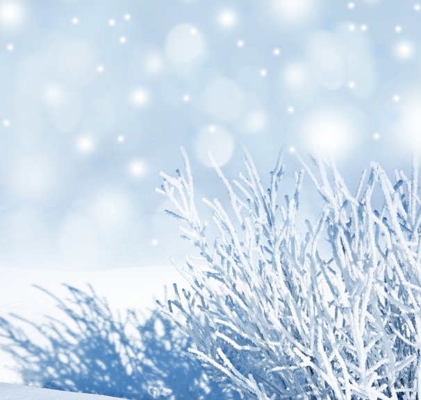 Free Winter Backgrounds Snow