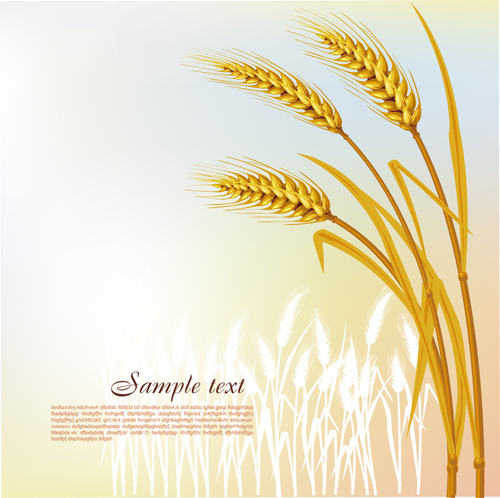 Golden Wheat Clip Art