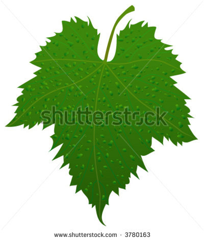 Grape Leaves Clip Art