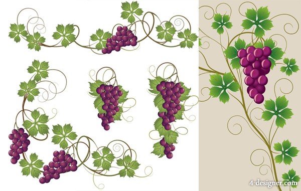 Grape Leaves Vector