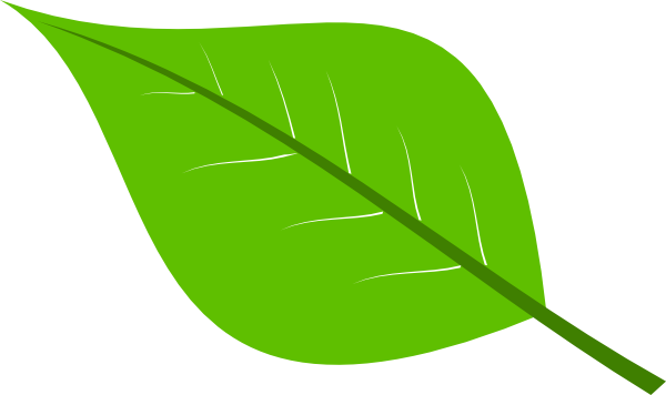 Green Leaf Clip Art