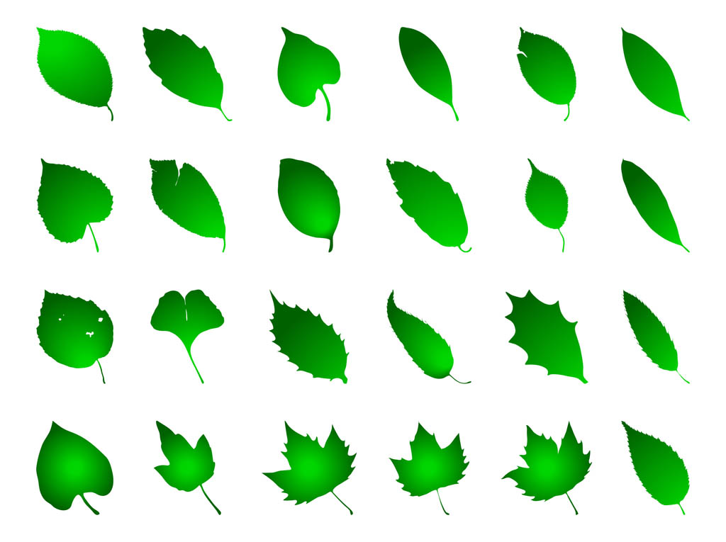 Green Leaf Vector Clip Art Green Leaf Vector Clip Art