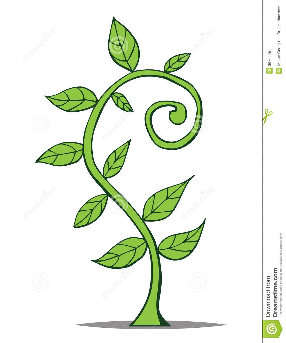 Growing Plant Vector Growing Plant Vector