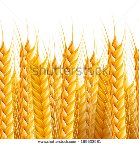 High Resolution Wheat Harvest