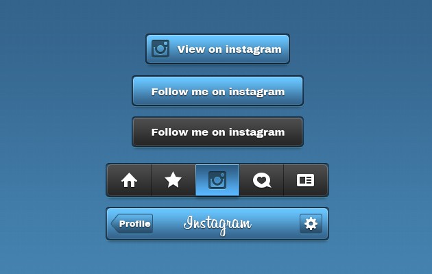 Instagram Button