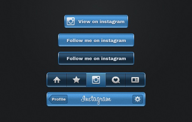 Instagram Follow Button
