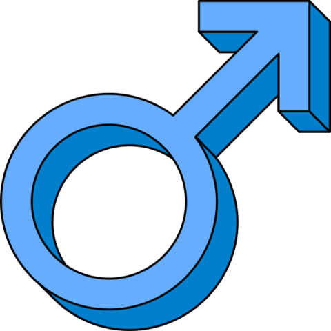 Male Symbol Icon