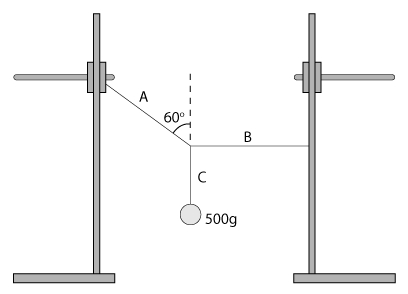 Net Force Vectors Examples