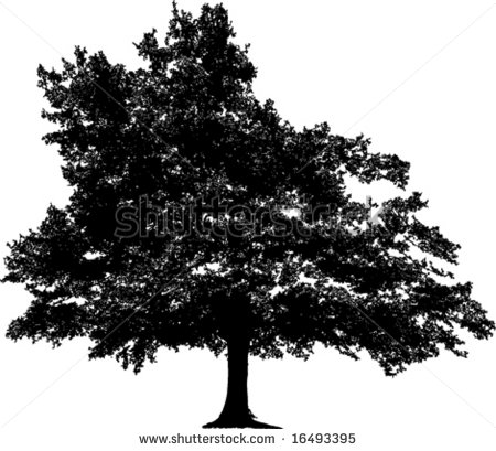 Oak Tree Silhouette Vector Free