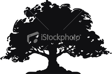 Oak Tree Silhouette Vector Free