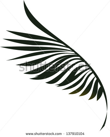 Palm Leaf Vector