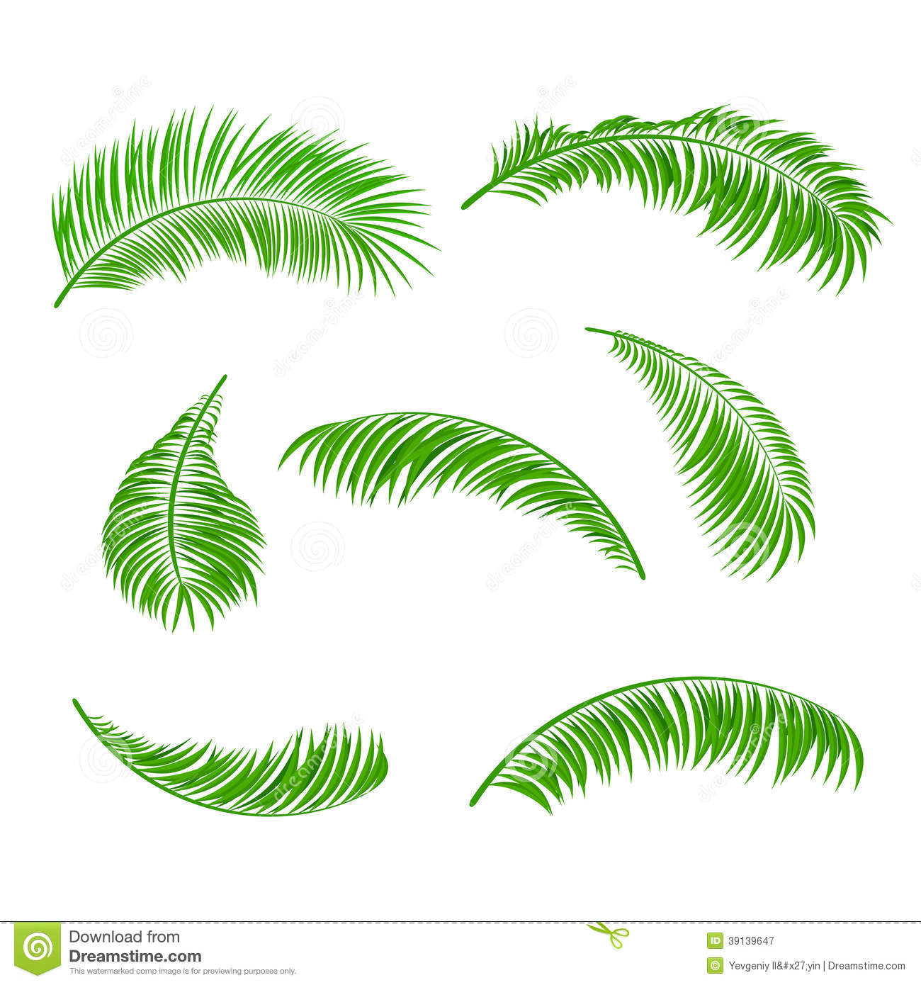 Palm Leaves Illustration