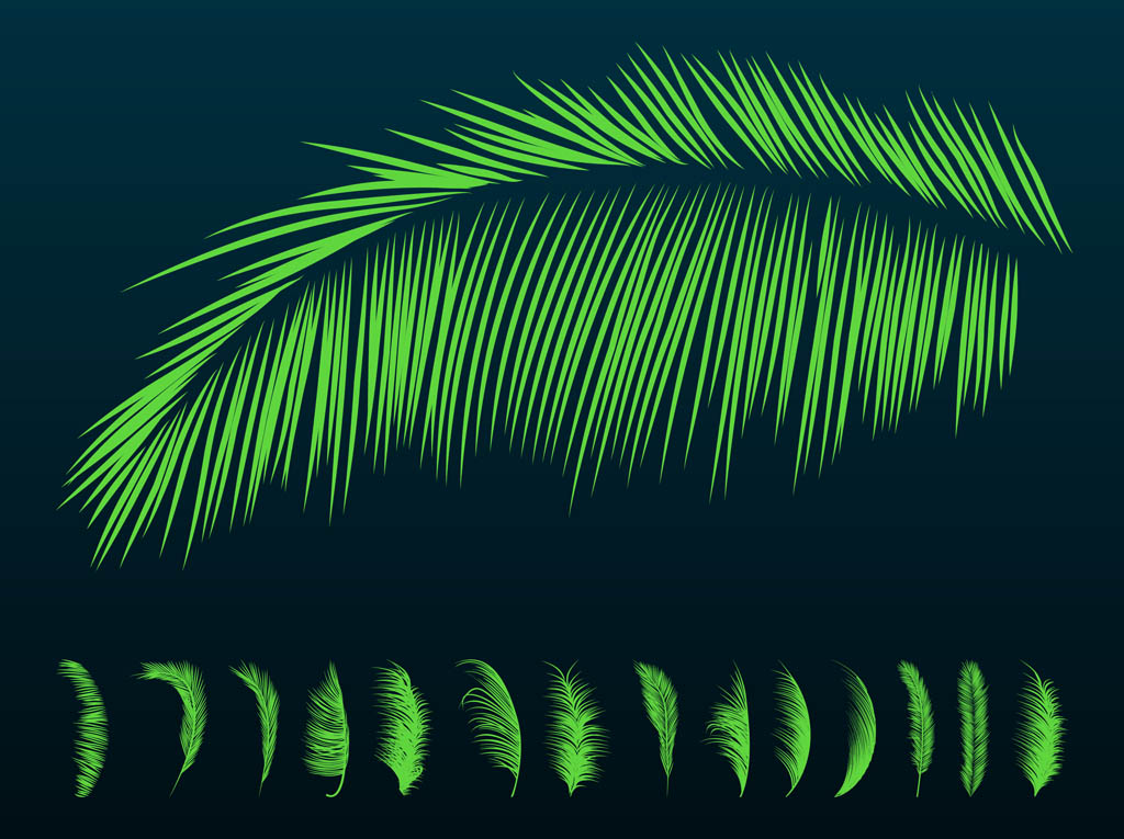 Palm Leaves Silhouette