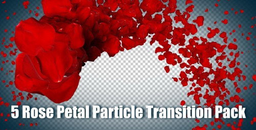 Particle Transition Pack 5 Petal Rose Particle Transition Pack 5 Petal Rose