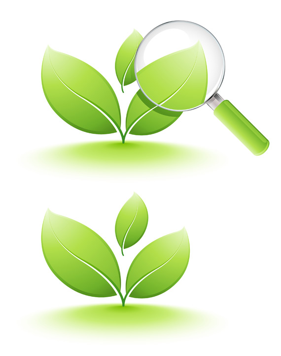 Plant Vector Icon