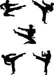 Silhouette Karate Fighter