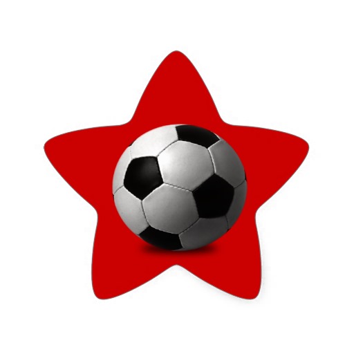 Soccer Ball Vector Black White