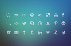 Social Network Icons