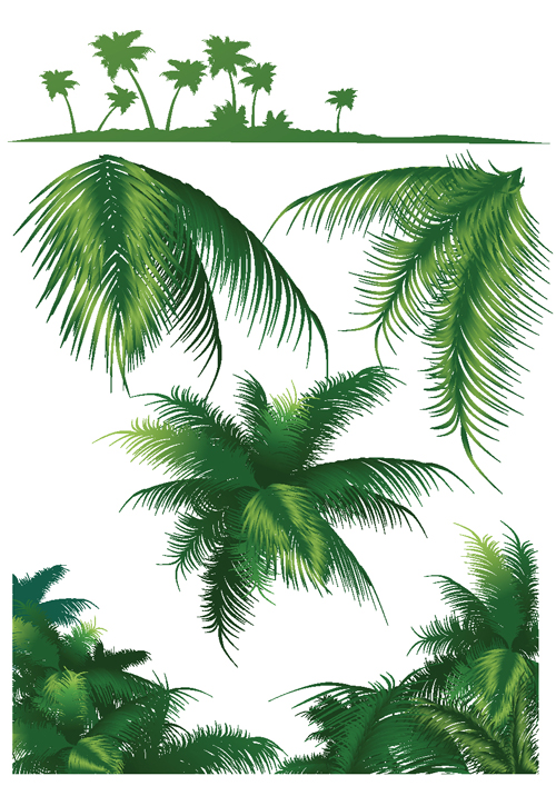 Tropical Leaves Vector