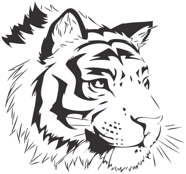 Vector Black and White Bengal Tiger