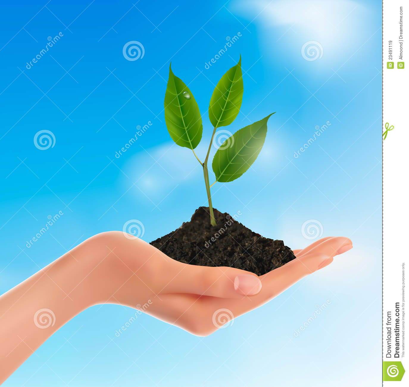 Vector Hands with Plants Vector Hands with Plants