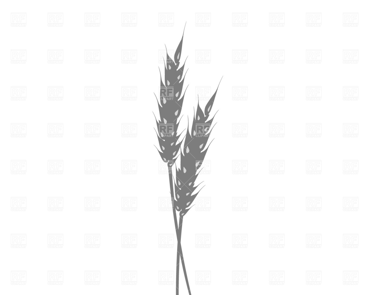 Wheat Clip Art Free Download