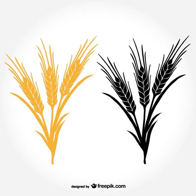 Wheat Silhouette Vector