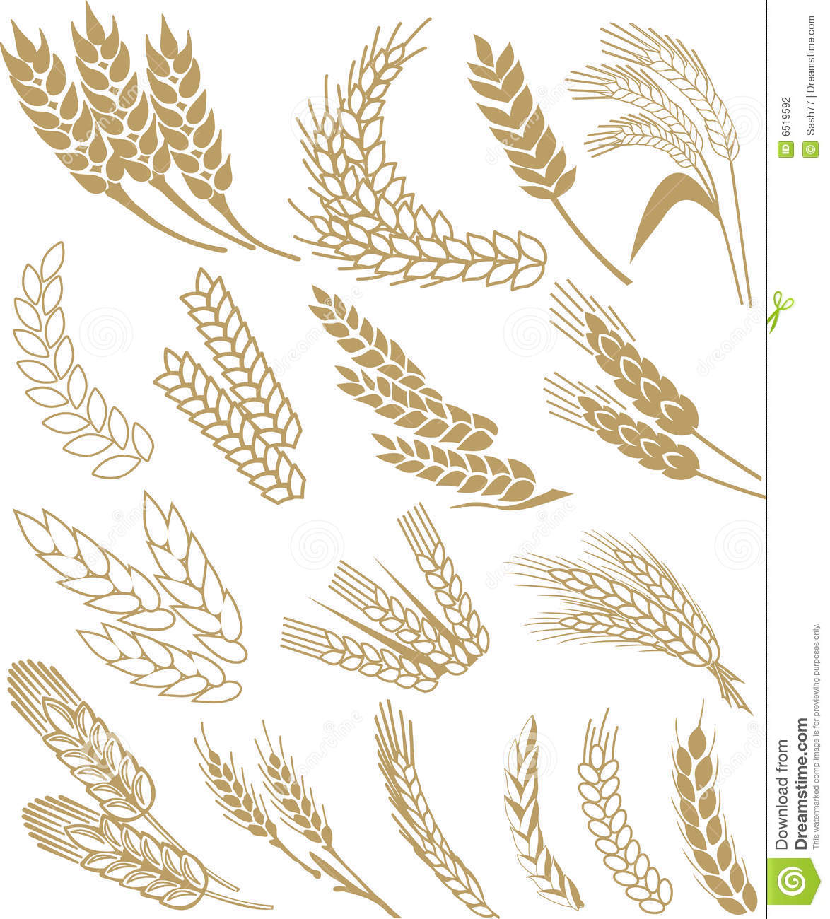 Wheat Vector