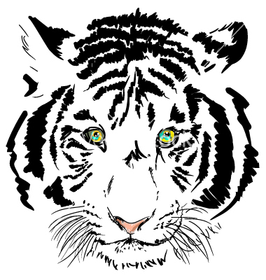 White Tiger Vector