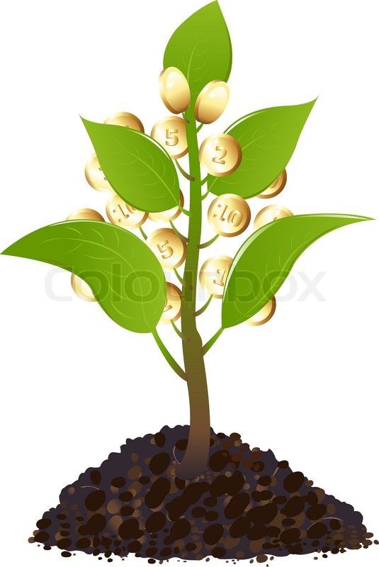 Young Plant Clip Art