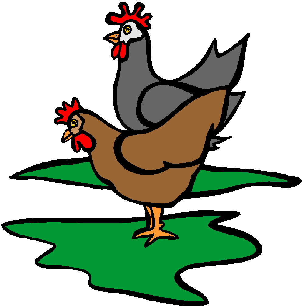 Cartoon Chicken Clip Art