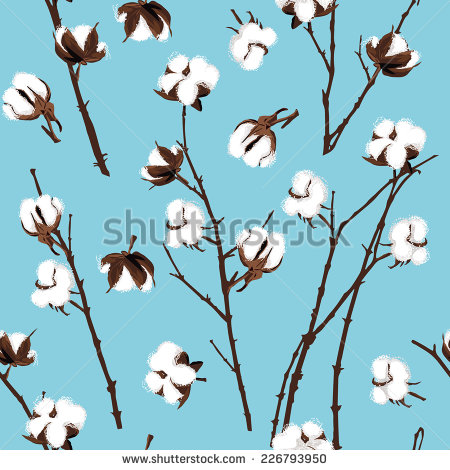 Cotton Plant Vector Art