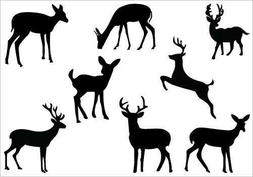 Doe Deer Silhouette Clip Art