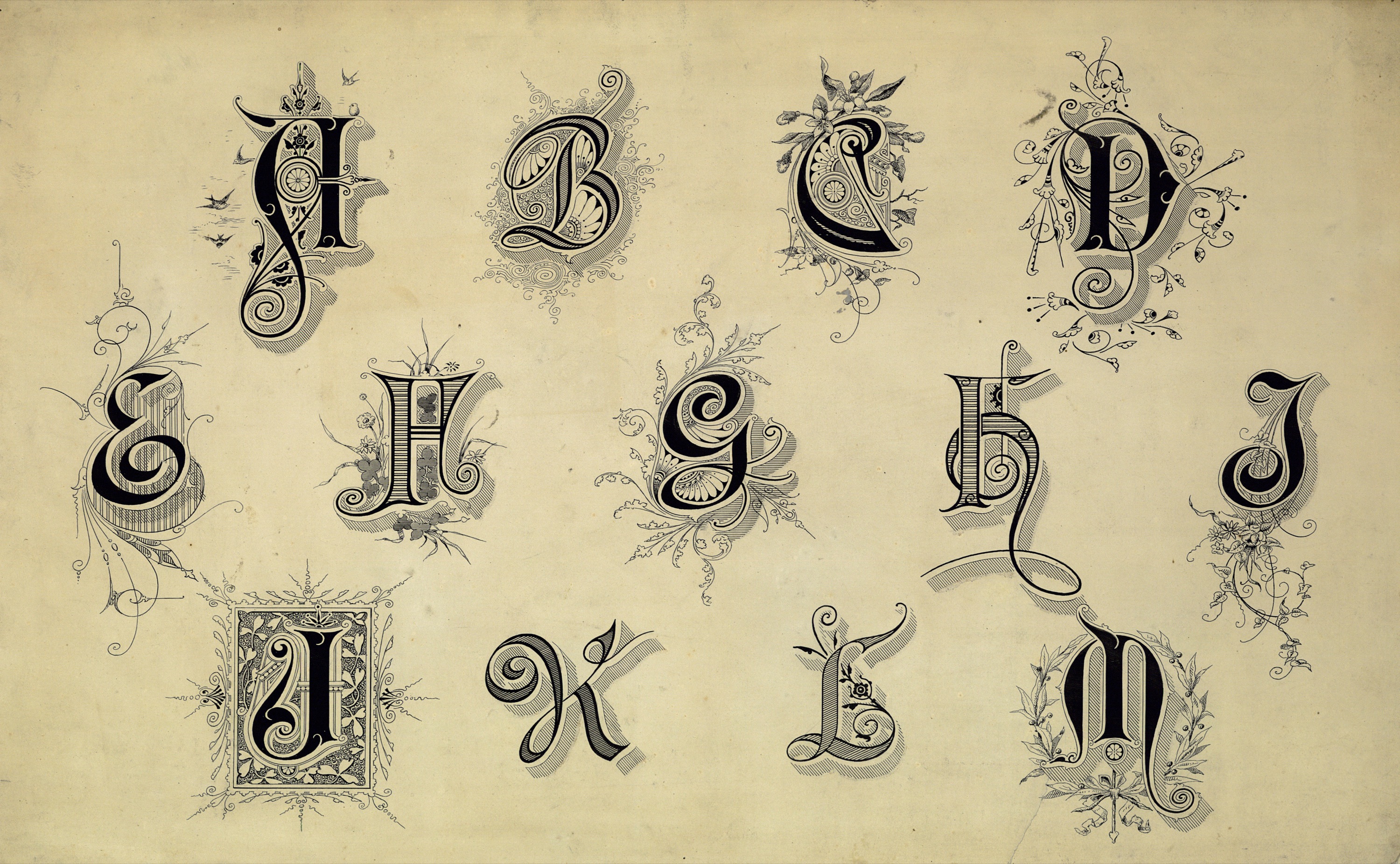 Flourish Vintage Typography Fonts