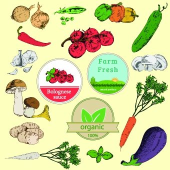 Food Label Designs Free Food Label Designs Free