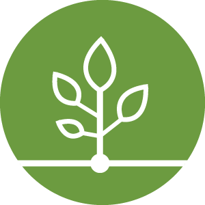 Growth Business Development Icon Growth Business Development Icon