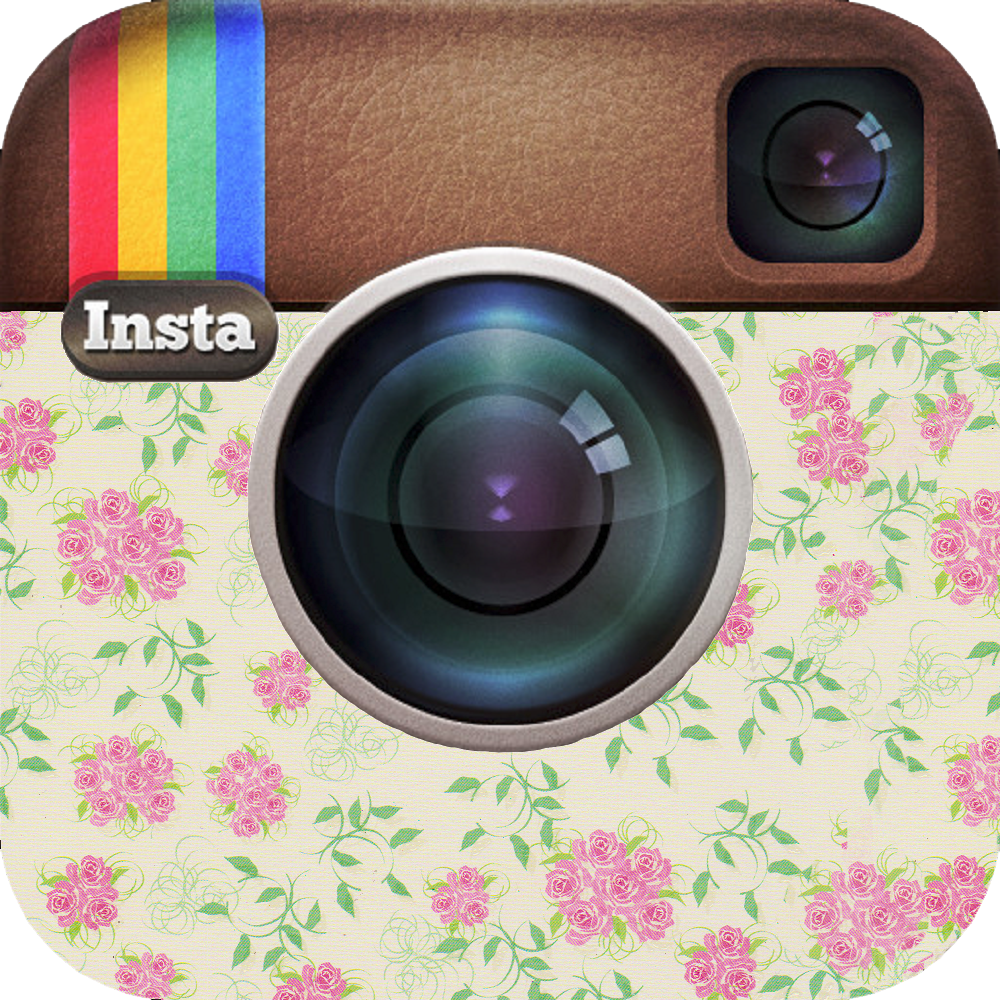 Instagram Logo Icon