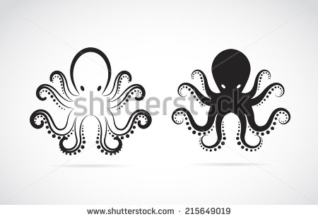 Octopus Vector Art