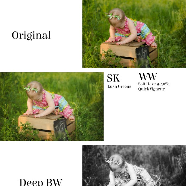 Photoshop Elements Action Sets