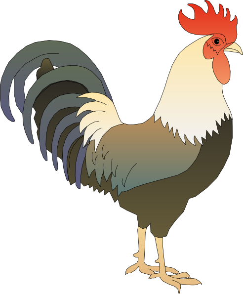 Rooster Clip Art