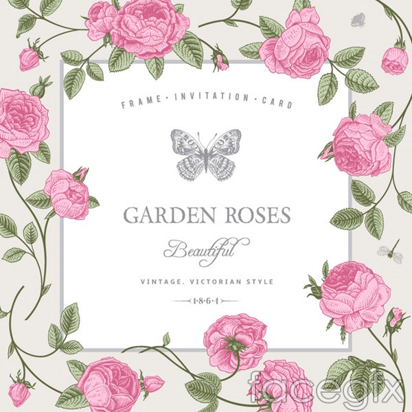 13 Photos of Rose Border Vector