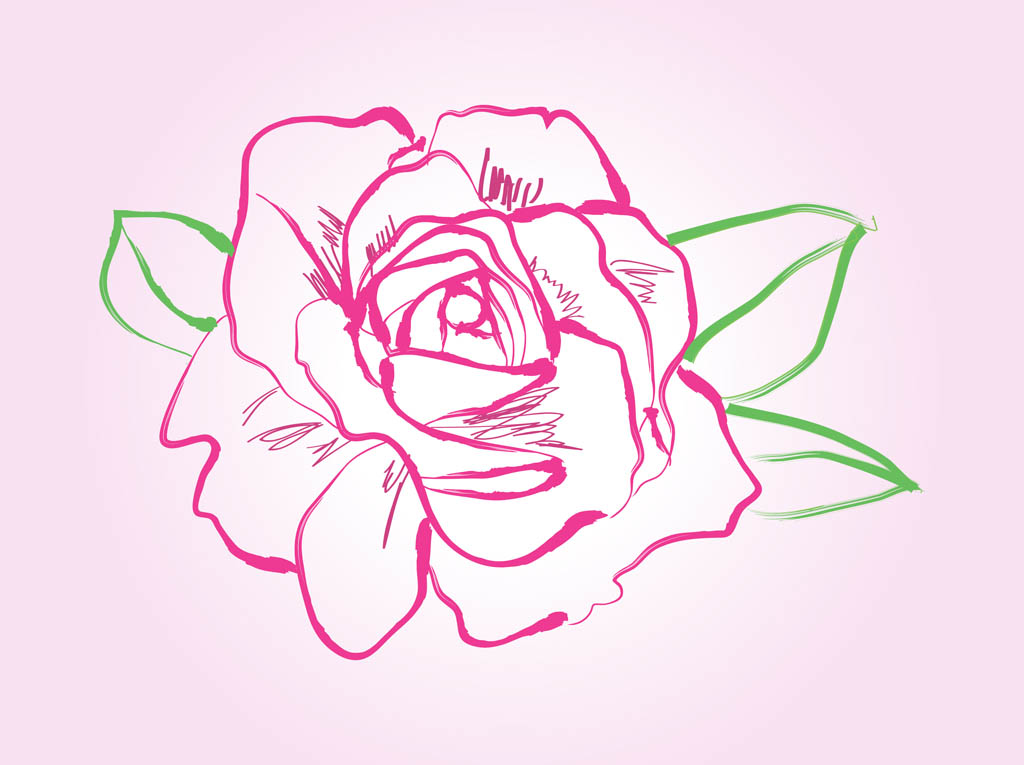 Rose Vector Drawing