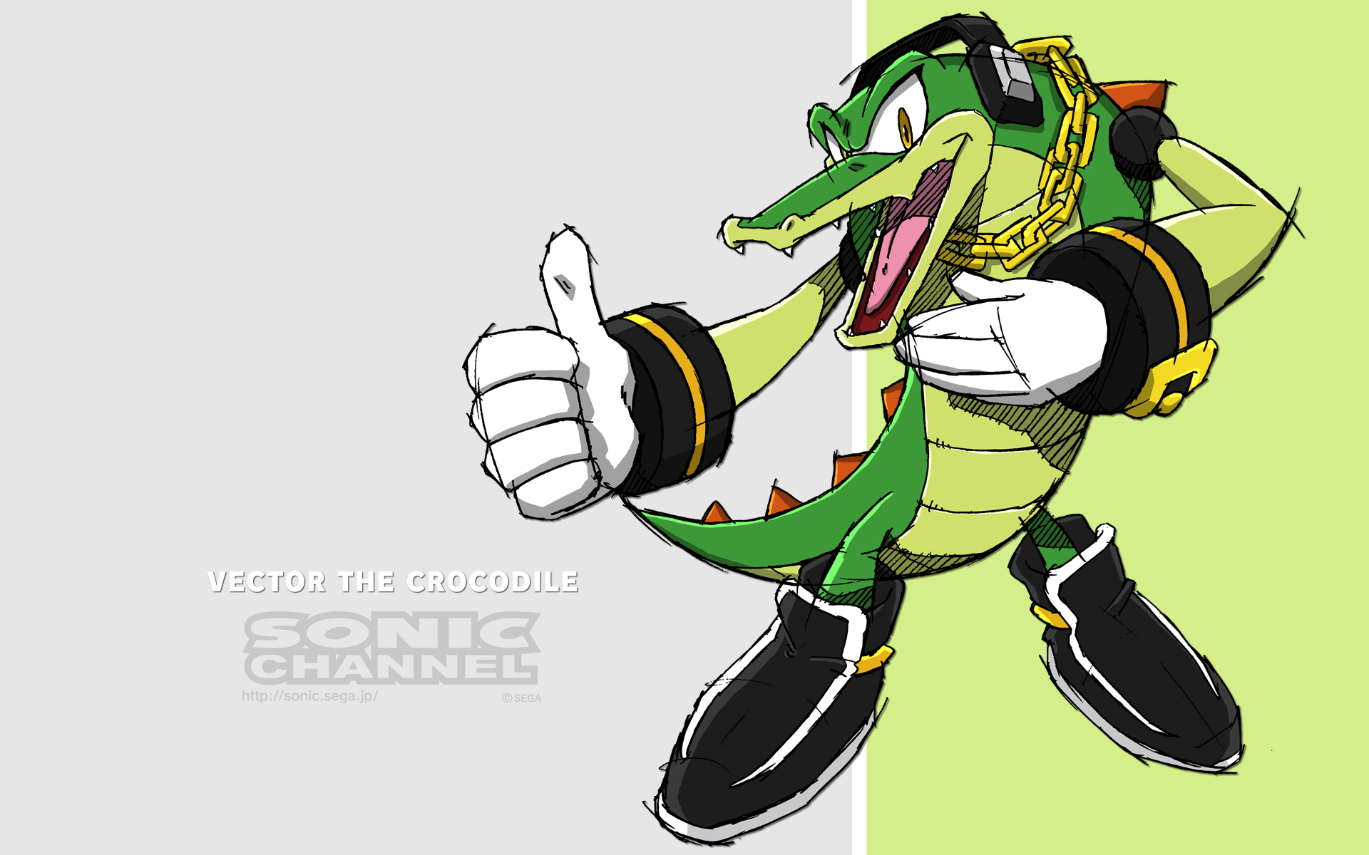 Sonic Vector The Crocodile