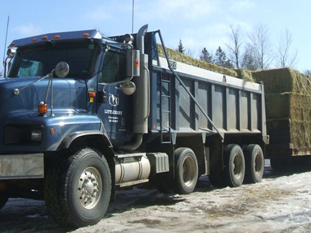 Tri-Axle Dump Truck Tires