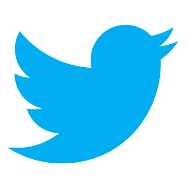 Twitter Bird Logo