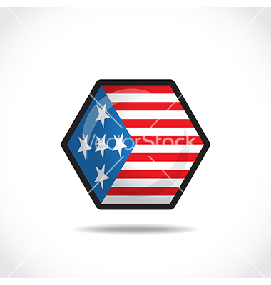 USA Flag Icon Vector